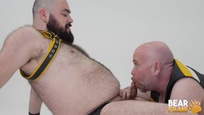 BEARFILMS Bear Bearsilien And Steve Brody Fingering Session