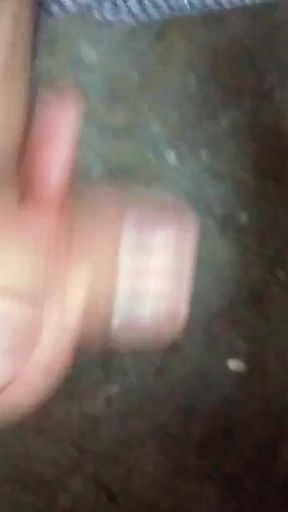 Tropa’s Lips Wrapped Around My Rock-hard Cock ( Compilation )