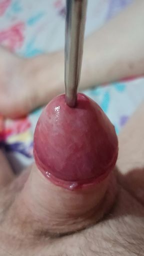 Love sounding my cock