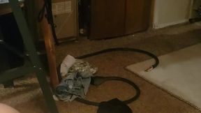 Ass up tied to a chair