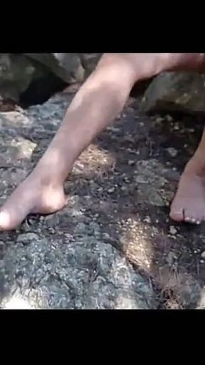 Moranguinho in forest