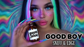GOOD BOY | SNIFF & EDGE | Goonloop