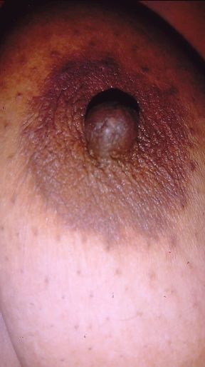 Gita Aunty Show Big Big Boobs and Pussy 2025 Part Two