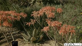 Step Bro Takes Blonde in Seductive Scene