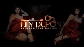 MISTRESS LILY DUPONT : PENIS TOURMENT