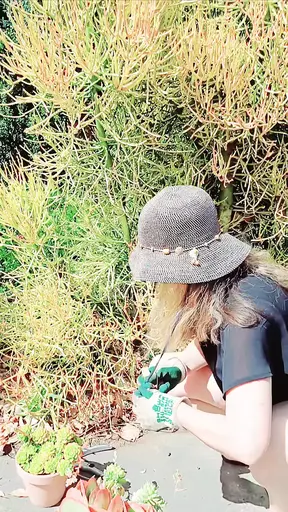 Zorg voor mijn planten zonder mijn broek