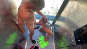 Neighbors have rough sex in a stopped elevator