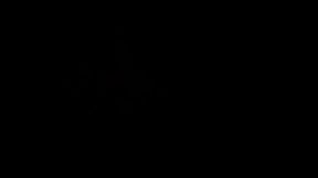 culo necesita pollon black