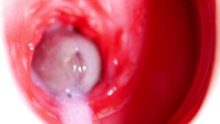 Ultra-cute large head glides inwards bestie's sweet glistening fuckhole!