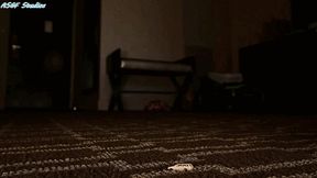 Giant Goddess FBC uanaware of you shrunk at her feet Part 3 - MP4