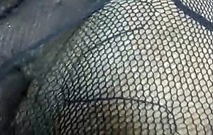 Slutty black tranny shows her dick