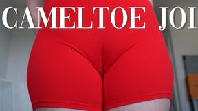 Cameltoe JOI
