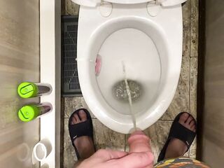 Morning lengthy pissing in the crapper POV