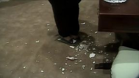 Selva de Pedra Cap&iacute_tulo 5