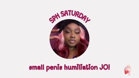 🌸 SPH SATURDAY - small penis humiliation joi