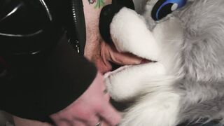 Get intimate with Pup Devil's furry foxy play and huge dicks in HD