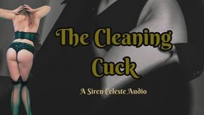 The Clean Up Cuck Erotic Audio