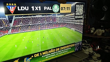 OS CARAS NAO PODE VER MACHO NA TEVE QUE QUER TREPAR