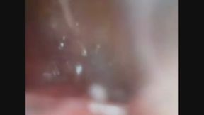 BAILEY SWALLOWS A LADY