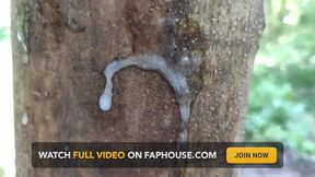 Cumshot on 'cum Here' Tree, Showing Cum Close up and Piss at a Cruising Area
