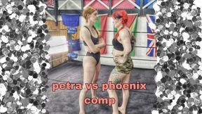 Petra VS Phoenix