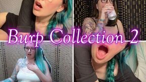 Burp Collection 2 *wmv*