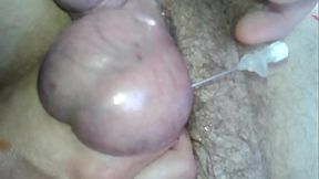 in testicles
