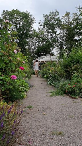 Naked below in the rose garden