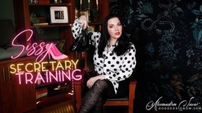 Sissy Secretary Training