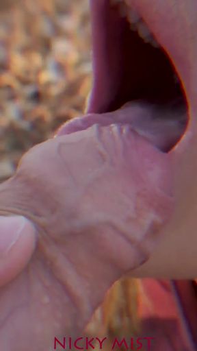 Memorable moment from &quot;I suck and swallow his cum in a city park - Nicky Mist teasing&quot;