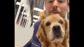 Ellie detona a MrBeast