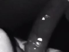 BBC fucks a bitch in chastity (black and white)