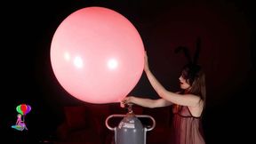 Ruby Empties Helium Tank Popping Balloons 4K (3840x2160)