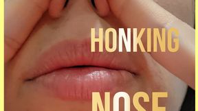 Blowing Honking Nose for you