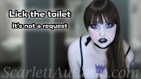 Lick the toilet I used - MP4 HD 1080p