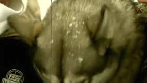 Str8 Euro Star Johan Volny Collection