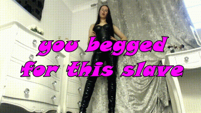 you begged for this pay pig