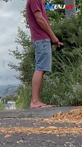 BeENJoY- The passenger sees in the screen filming me that I am jerking off. She looks insistently twice long before smiling at me