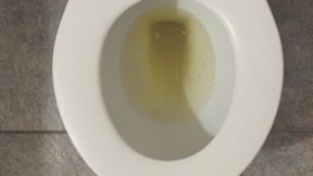 GOLDEN TOILET