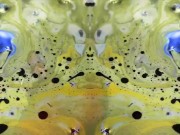 Psychedelic dancing trip - Zedsdead