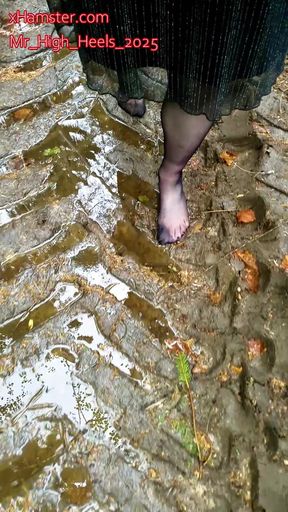 In nylons in the forest part 2.
