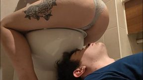 Pre Toilet Fart Filter