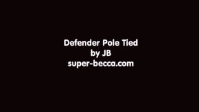 Defender Pole Tied