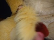 Lion fursuiter moans and cums