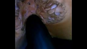 Black cucumber , inside a tigh pumpkind