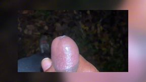 september through december 2025 cum shot cumpilation