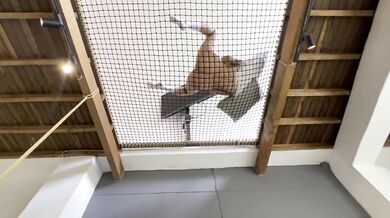 STEP SISTER gets fucked and i filled her mouth with CUM! - Abella olsen