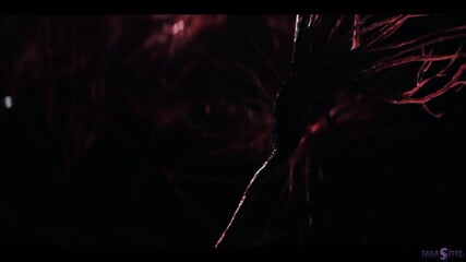 Parasited-Enters Theirs Holes Natty & Octokuros