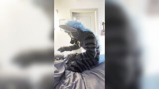 Murrsuiter gets stroked and overstimed