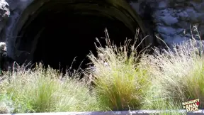 Cave nymph gets her round ass covered in cum